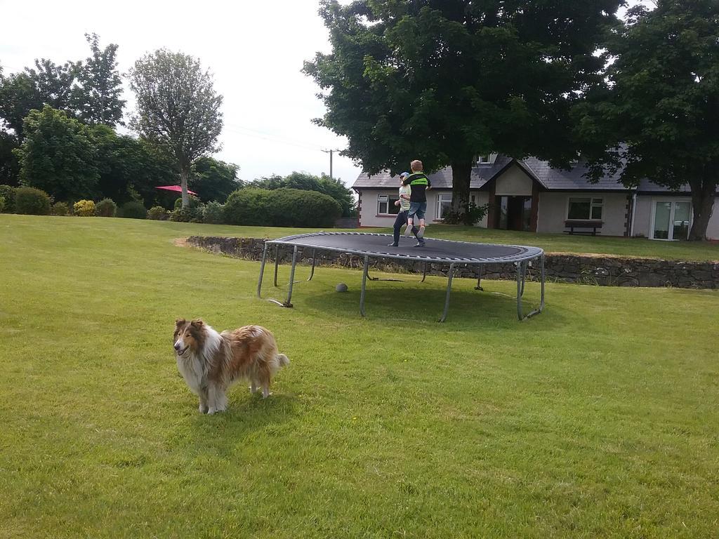Rocksberry Bed & Breakfast Castlebar Extérieur photo
