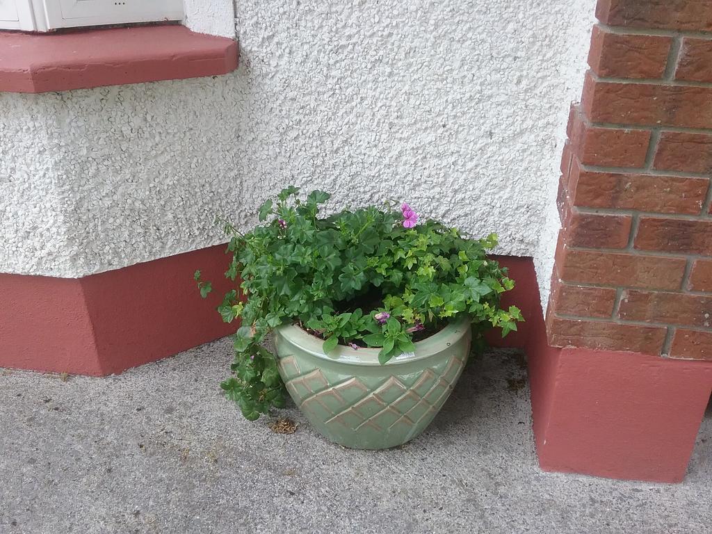 Rocksberry Bed & Breakfast Castlebar Extérieur photo