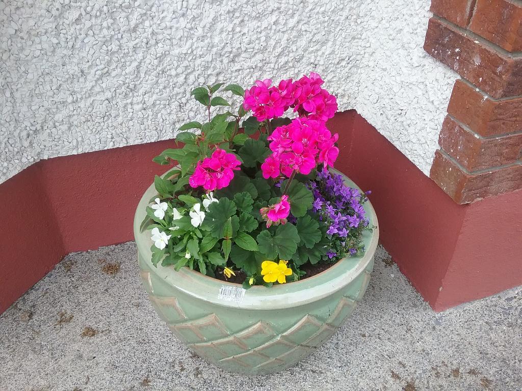 Rocksberry Bed & Breakfast Castlebar Extérieur photo