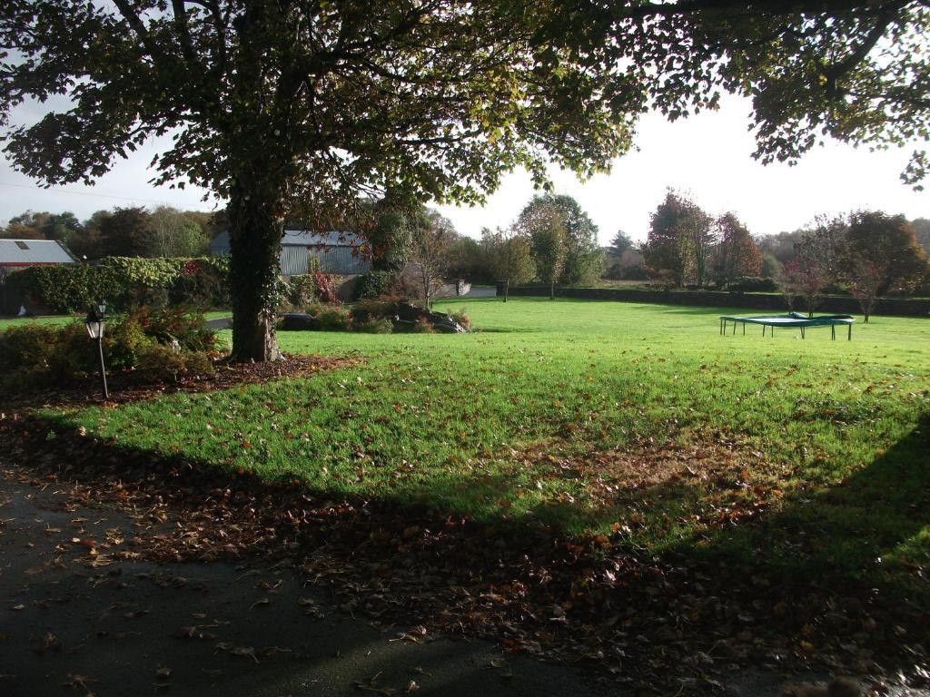 Rocksberry Bed & Breakfast Castlebar Extérieur photo